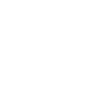 geonardo.ai® icon