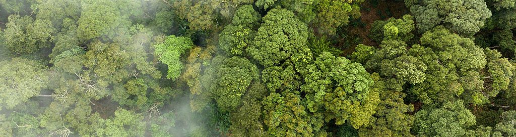 With Co2control sustainibly fit for the future